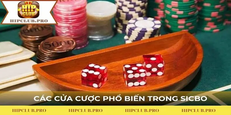 Các loại cược phổ biến được nhiều người lựa chọn khi tham gia tài xỉu